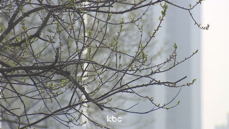 낮 최고 23도 포근, 미세먼지 '나쁨'…전국 대체로 맑고 건조