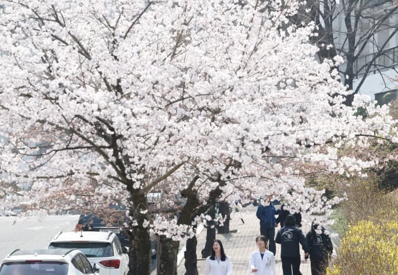 낮 최고 23도 '봄 날씨'…짙은 안개·미세먼지 '주의'