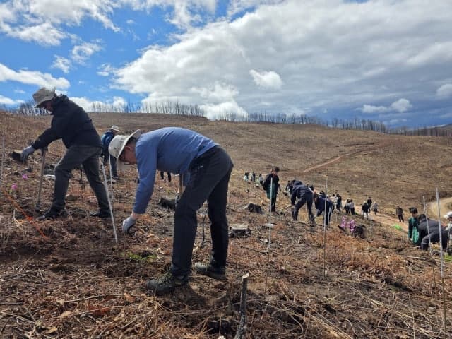 SKT-유한킴벌리, 안동 산불 피해 복원 '맞손'…1500그루 식재