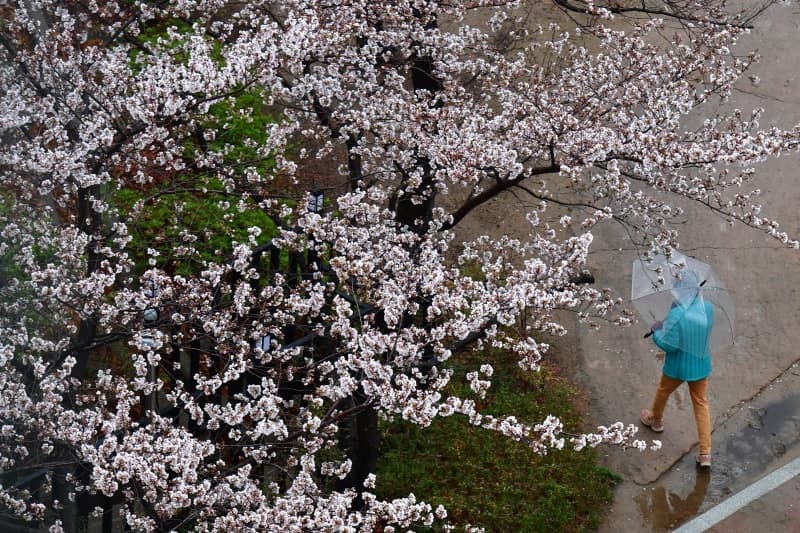 “감기 조심하세요”…월요일 비 그친 뒤 기온 ‘뚝’ 떨어져