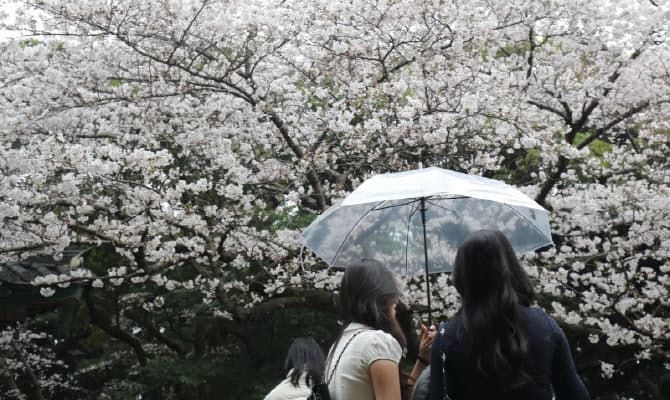 전국에 봄비, 출근길 우산 챙기세요…오후 미세먼지 '나쁨'